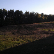 mound drainfield in hill